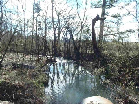 609 Honda Rd, Amity, AR 71921 photo 5