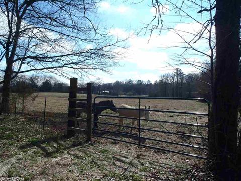 609 Honda Rd, Amity, AR 71921 photo 4