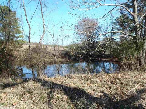 609 Honda Rd, Amity, AR 71921 photo 31