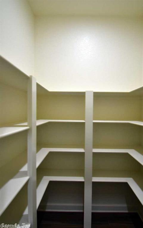 151 Hudson Br, Austin, AR 72007 photo 20