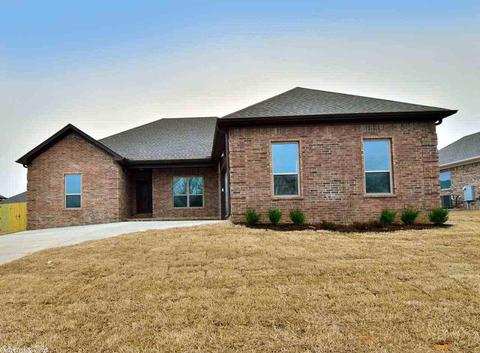 151 Hudson Br, Austin, AR 72007 photo 1