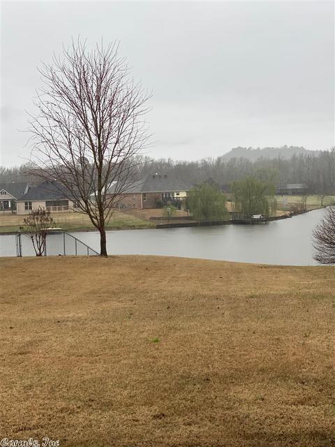 20 Alfred Cv, Conway, AR 72032 photo 31