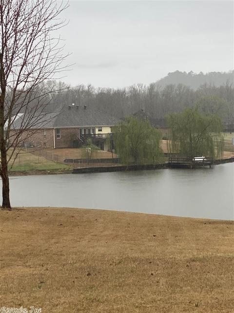 20 Alfred Cv, Conway, AR 72032 photo 29