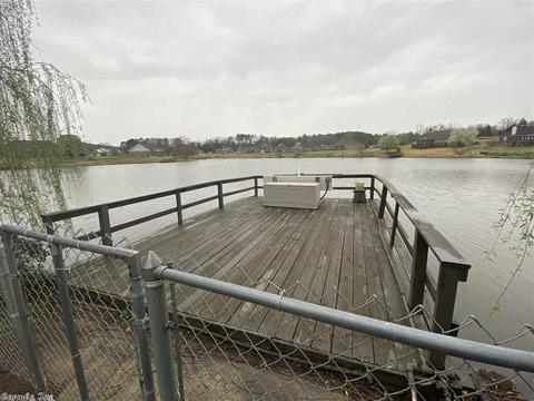 20 Alfred Cv, Conway, AR 72032 photo 7