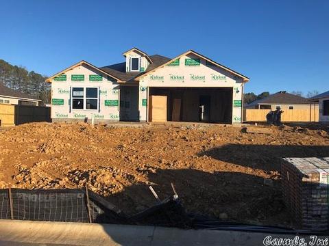 6101 Gordy Dr, Alexander, AR 72002 photo 1