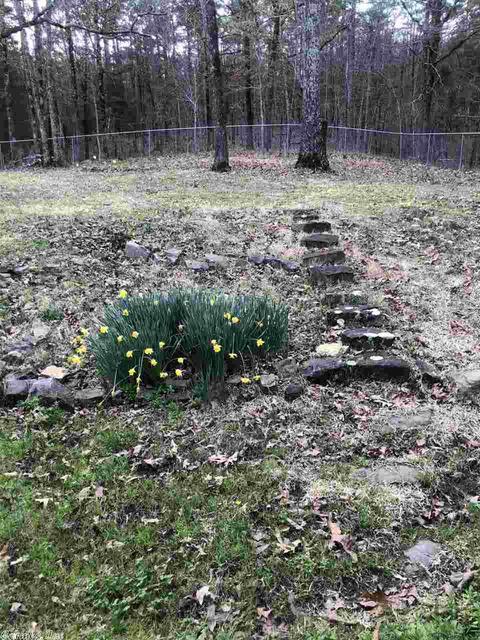 141 Pine Valley Dr, Conway, AR 72034 photo 28