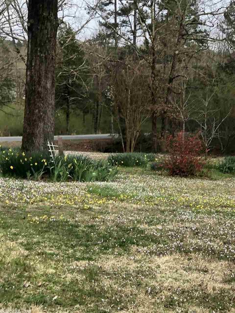 141 Pine Valley Dr, Conway, AR 72034 photo 9