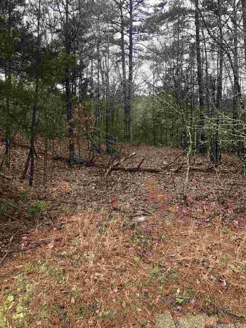 133 Pine Valley Dr, Conway, AR 72034 photo 2