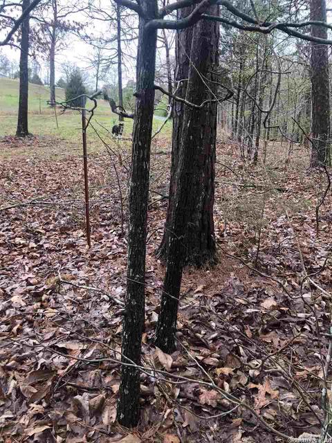 133 Pine Valley Dr, Conway, AR 72034 photo 4