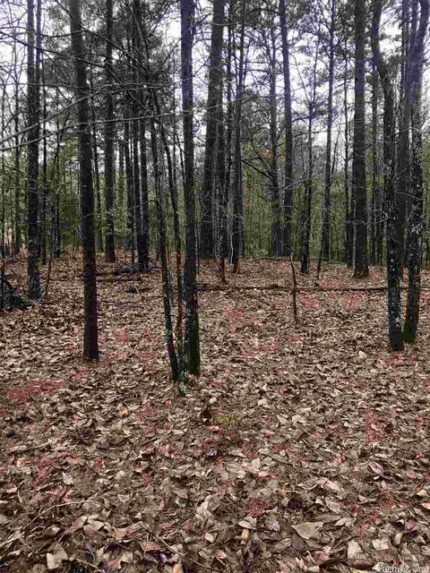 133 Pine Valley Dr, Conway, AR 72034 photo 1
