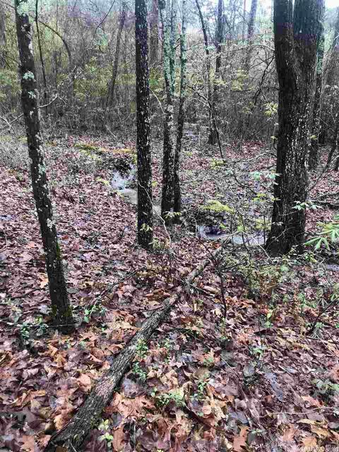 133 Pine Valley Dr, Conway, AR 72034 photo 3