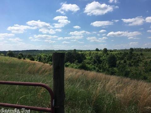 227 N Star Rd, Gillham, AR 71841 photo 7