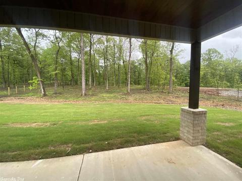 9024 Greenstone Dr, Alexander, AR 72002 photo 37