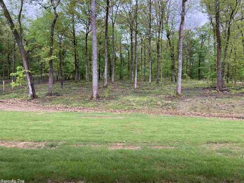 9024 Greenstone Dr, Alexander, AR 72002 photo 38