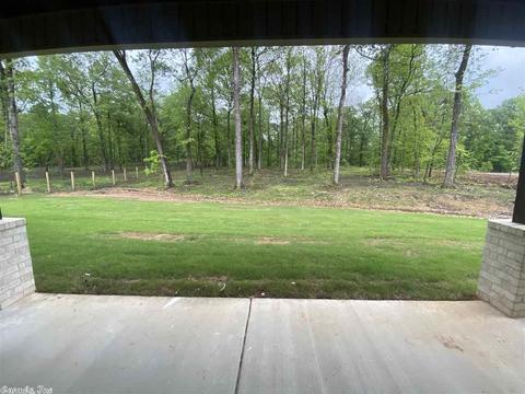 9024 Greenstone Dr, Alexander, AR 72002 photo 36
