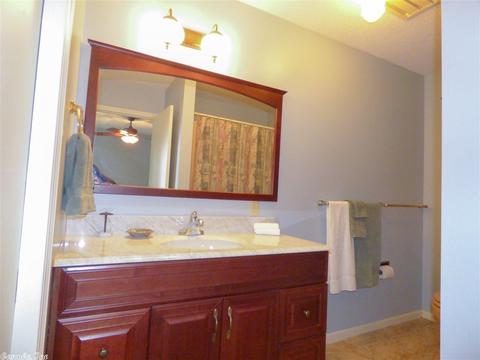 164 Valhalla Dr, Greers Ferry, AR 72067 photo 37