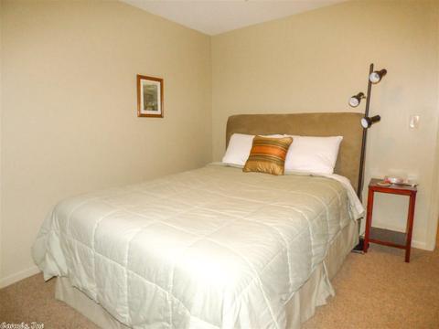 164 Valhalla Dr, Greers Ferry, AR 72067 photo 20