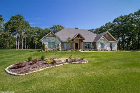 4112 Vineyard Way, Alexander, AR 72022 photo 3