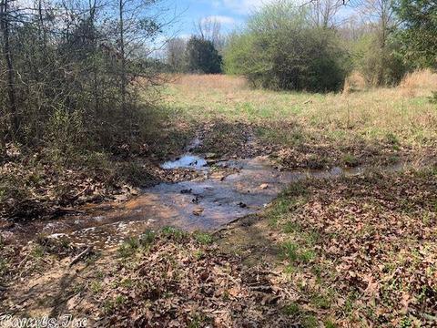63 New Home Rd, Quitman, AR 72131 photo 5