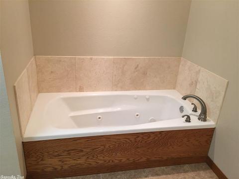 10 Davidson Cir, Edgemont, AR 72044 photo 12
