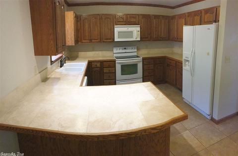 10 Davidson Cir, Edgemont, AR 72044 photo 8