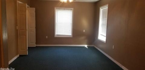 75 Diane Ave, Ash Flat, AR 72513 photo 18