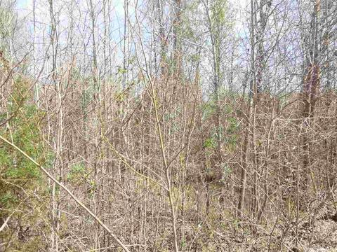330 Saddle Brook Cir, Austin, AR 72007 photo 4