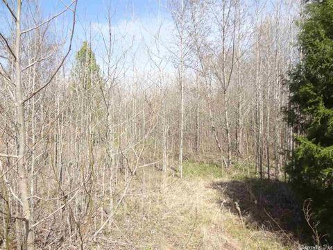 330 Saddle Brook Cir, Austin, AR 72007 photo 1