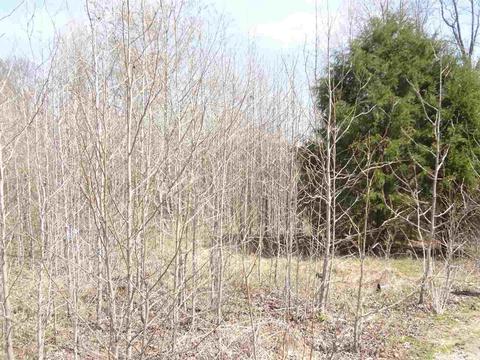 330 Saddle Brook Cir, Austin, AR 72007 photo 2