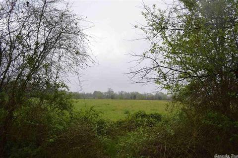 1046 Central Rd, Horatio, AR 71842 photo 6
