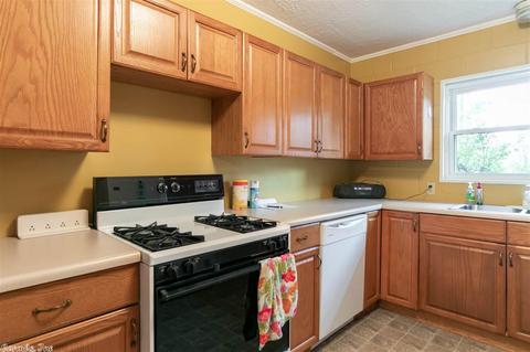 83 Round Mountain Rd, Conway, AR 72034 photo 10