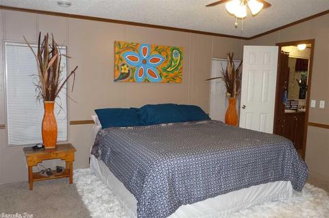 17727 Chicot Rd, Mabelvale, AR 72103 photo 19