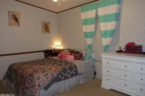 17727 Chicot Rd, Mabelvale, AR 72103 photo 29