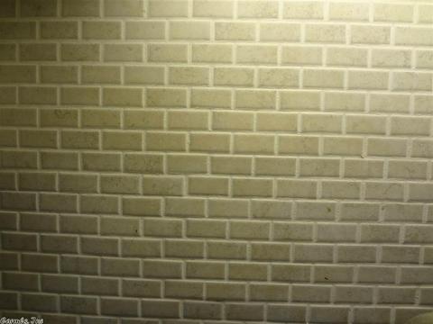 14 Thunderbird, Cabot, AR 72023 photo 12