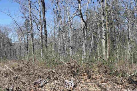 757 Delta Rd, Dennard, AR 72629 photo 20