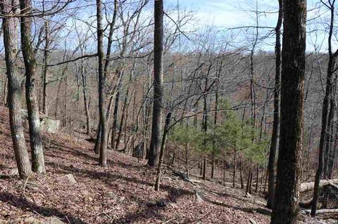 4876 Cr 4160, Oark, AR 72852 photo 13