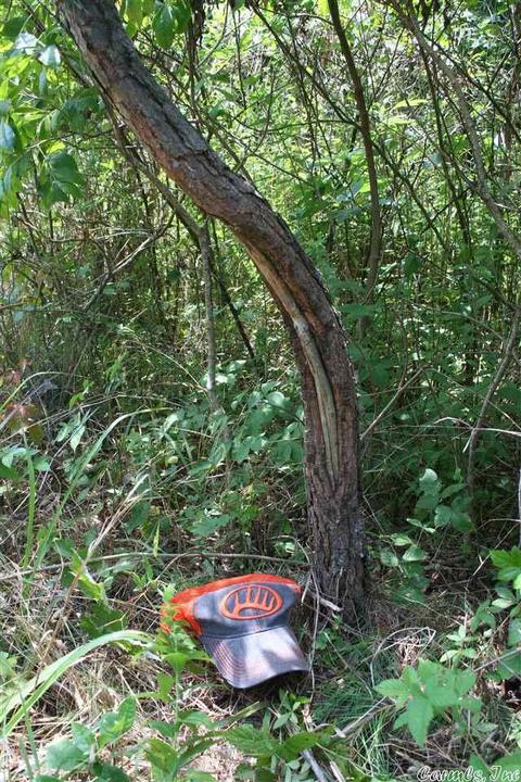 4876 Cr 4160, Oark, AR 72852 photo 7