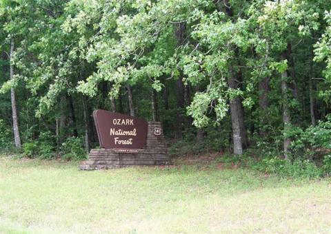 4876 Cr 4160, Oark, AR 72852 photo 4