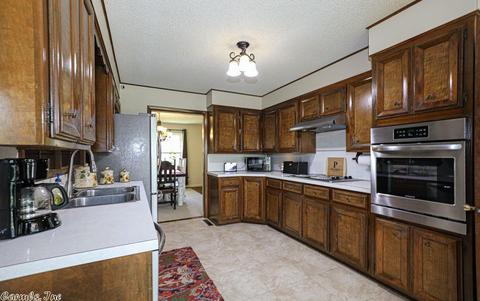 1522 Lenore Dr, Benton, AR 72018 photo 18