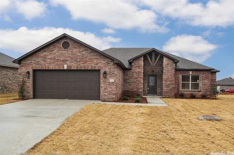 26 Chesapeake Dr, Austin, AR 72007 photo 1