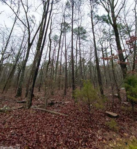 1353 Memory Ln, Clinton, AR 72031 photo 24