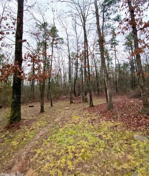 1353 Memory Ln, Clinton, AR 72031 photo 25