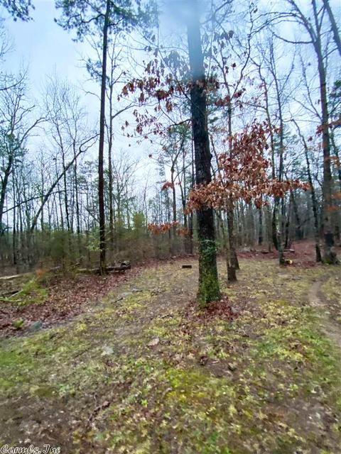 1353 Memory Ln, Clinton, AR 72031 photo 26