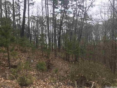 1075 Lakefront Rd, Quitman, AR 72131 photo 15