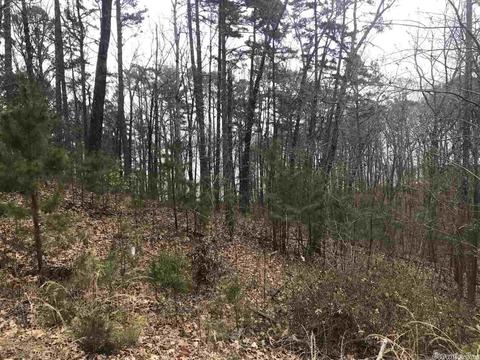 1075 Lakefront Rd, Quitman, AR 72131 photo 14