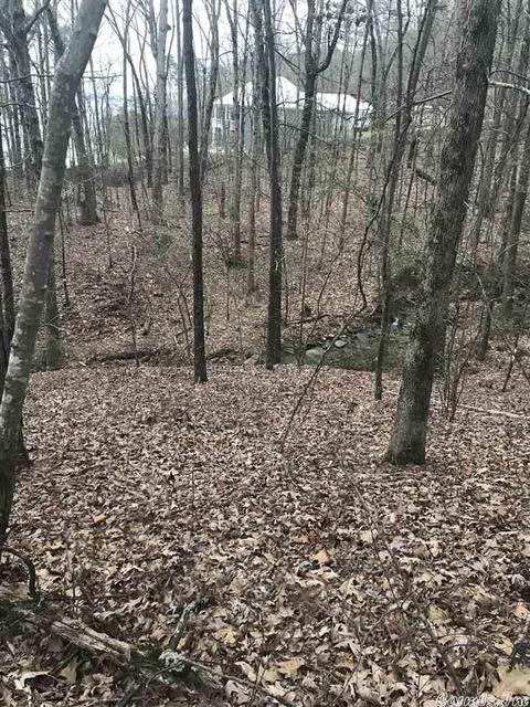 1075 Lakefront Rd, Quitman, AR 72131 photo 4