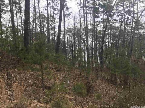 1075 Lakefront Rd, Quitman, AR 72131 photo 13