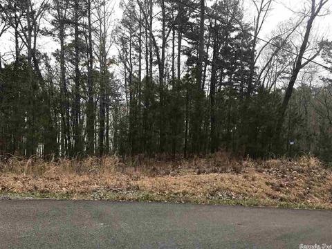 1075 Lakefront Rd, Quitman, AR 72131 photo 16
