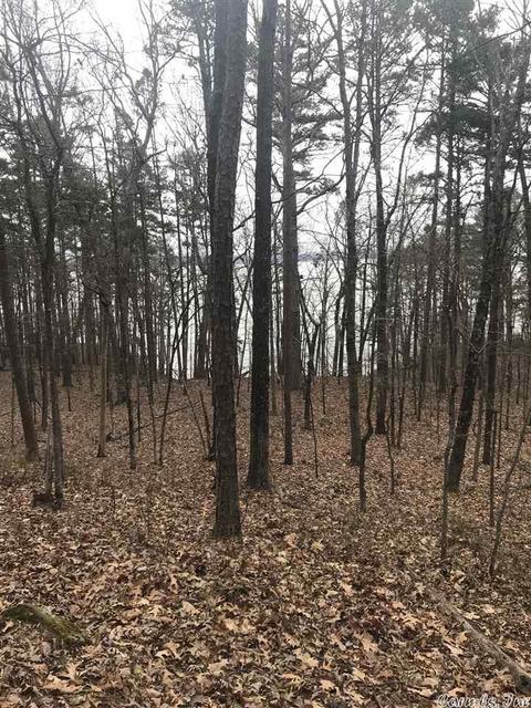 1075 Lakefront Rd, Quitman, AR 72131 photo 3