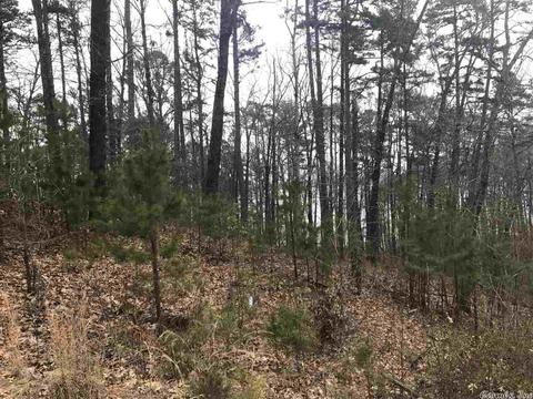 1075 Lakefront Rd, Quitman, AR 72131 photo 12